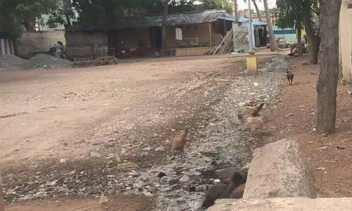 சாக்கடை கால்வாய் வசதி தேவை