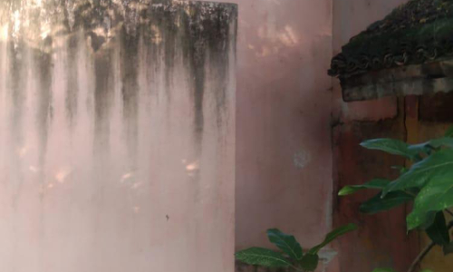 பயன்பாட்டுக்கு வராத சுகாதார வளாகம்