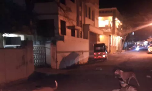 நாய்கள் தொல்லை