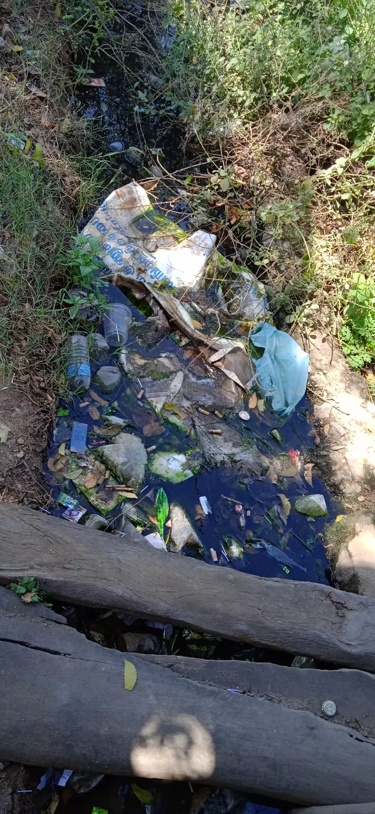 சாக்கடை கால்வாய் தூர்வாரப்படுமா? சாக்கடை கால்வாய் தூர்வாரப்படுமா?