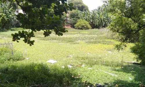 குளத்தை சீர் செய்ய வேண்டும்