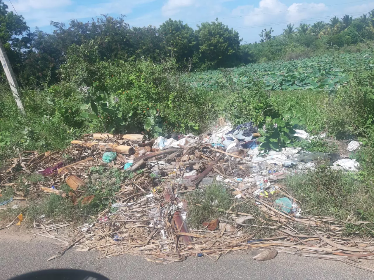 குப்பைகளை அகற்ற வேண்டும் குப்பைகளை அகற்ற வேண்டும்