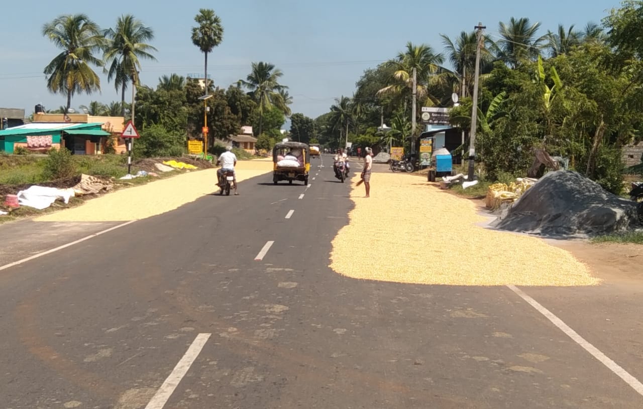 உலர்களமாக மாறிவரும் சாலை