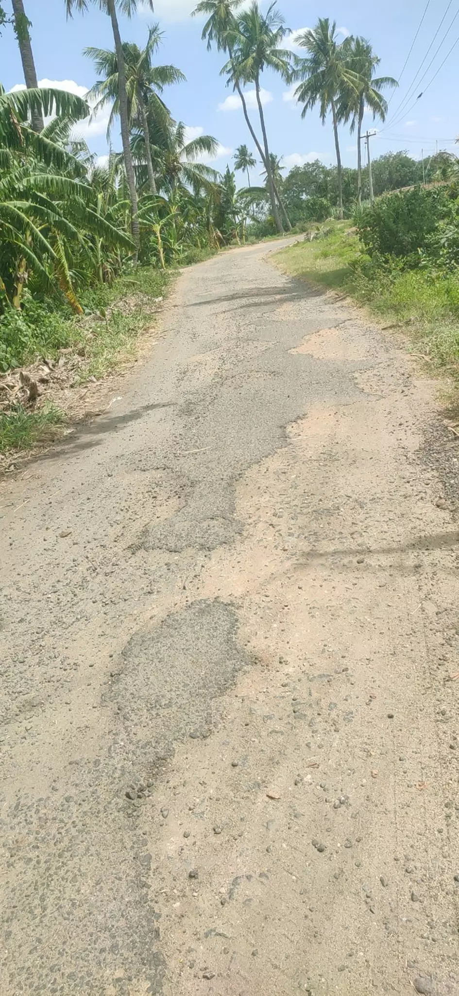 தார் சாலை வேண்டும் தார் சாலை வேண்டும்