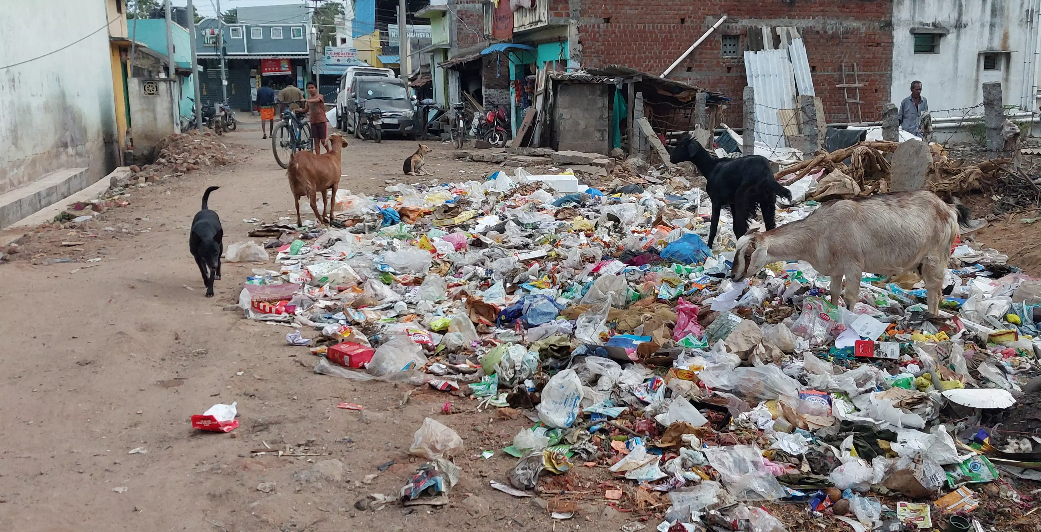 அகற்ற வேண்டிய குப்பைகள்