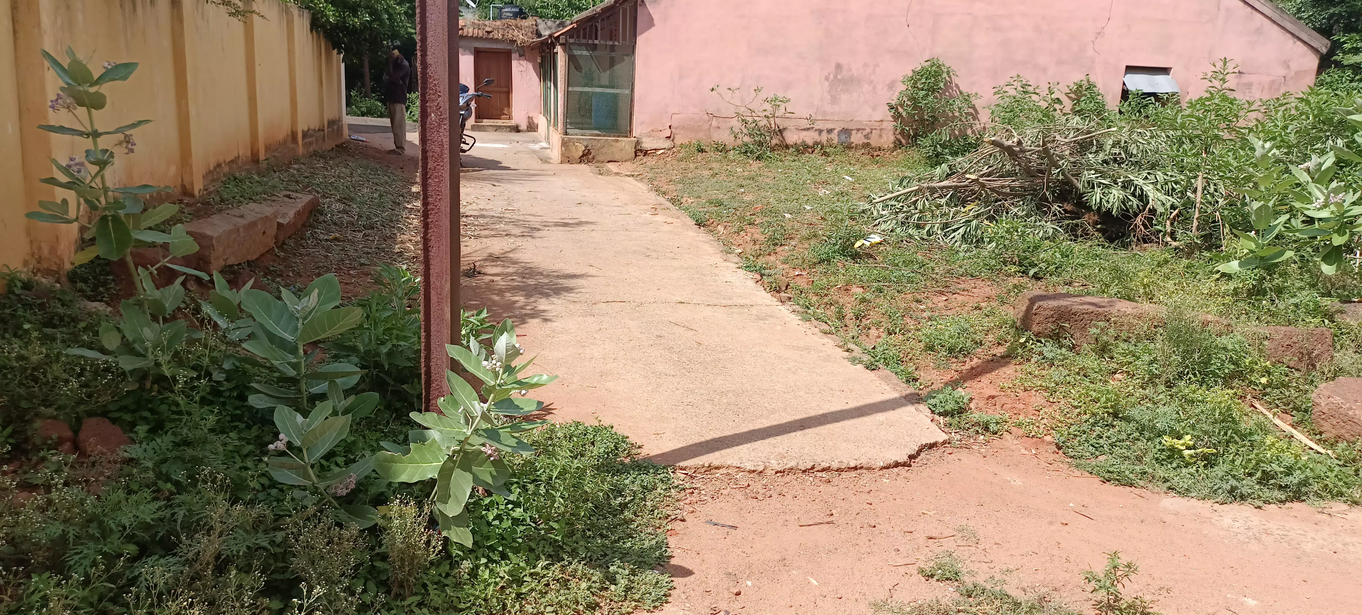 சாலையின் நடுவே ஆபத்தான மின்கம்பங்கள்