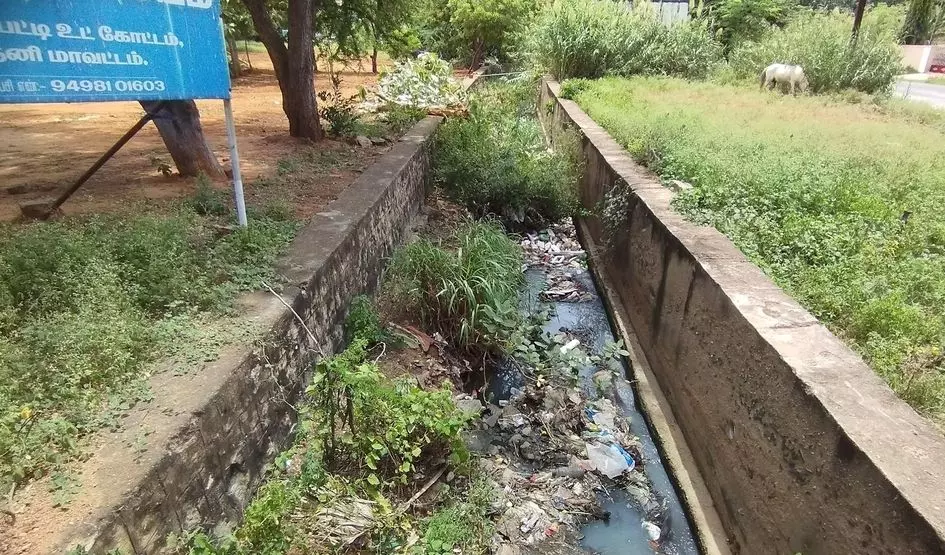 தூர்வாரப்படாத சாக்கடை கால்வாய் தூர்வாரப்படாத சாக்கடை கால்வாய்