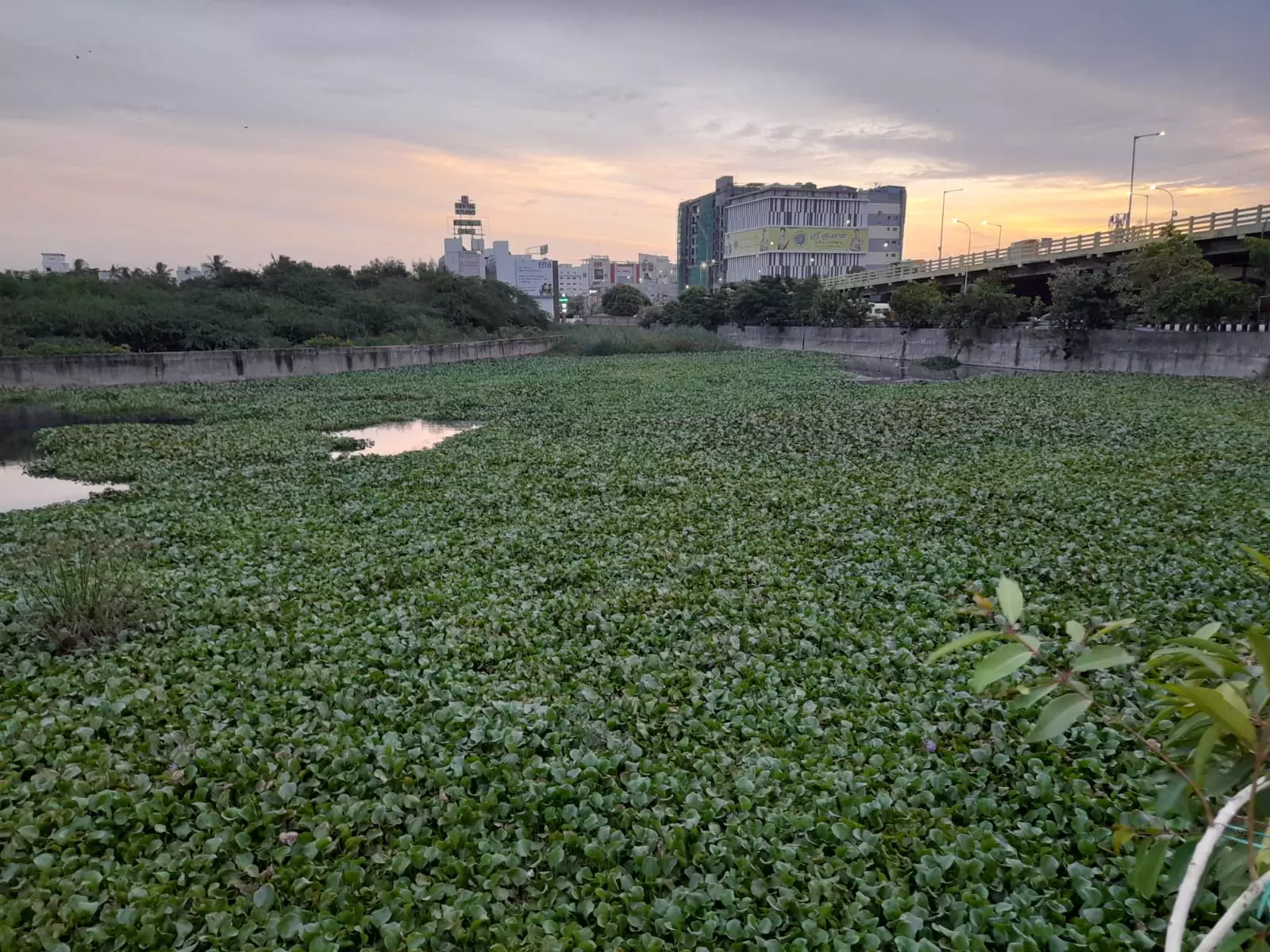 குளத்தை காணவில்லை