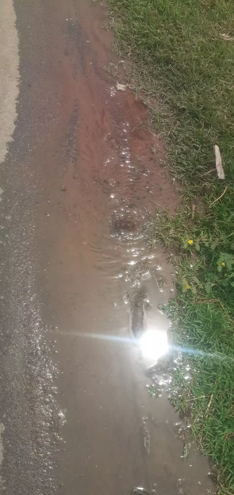 குழாய் உடைப்பால் வீணாகும் குடிநீர்