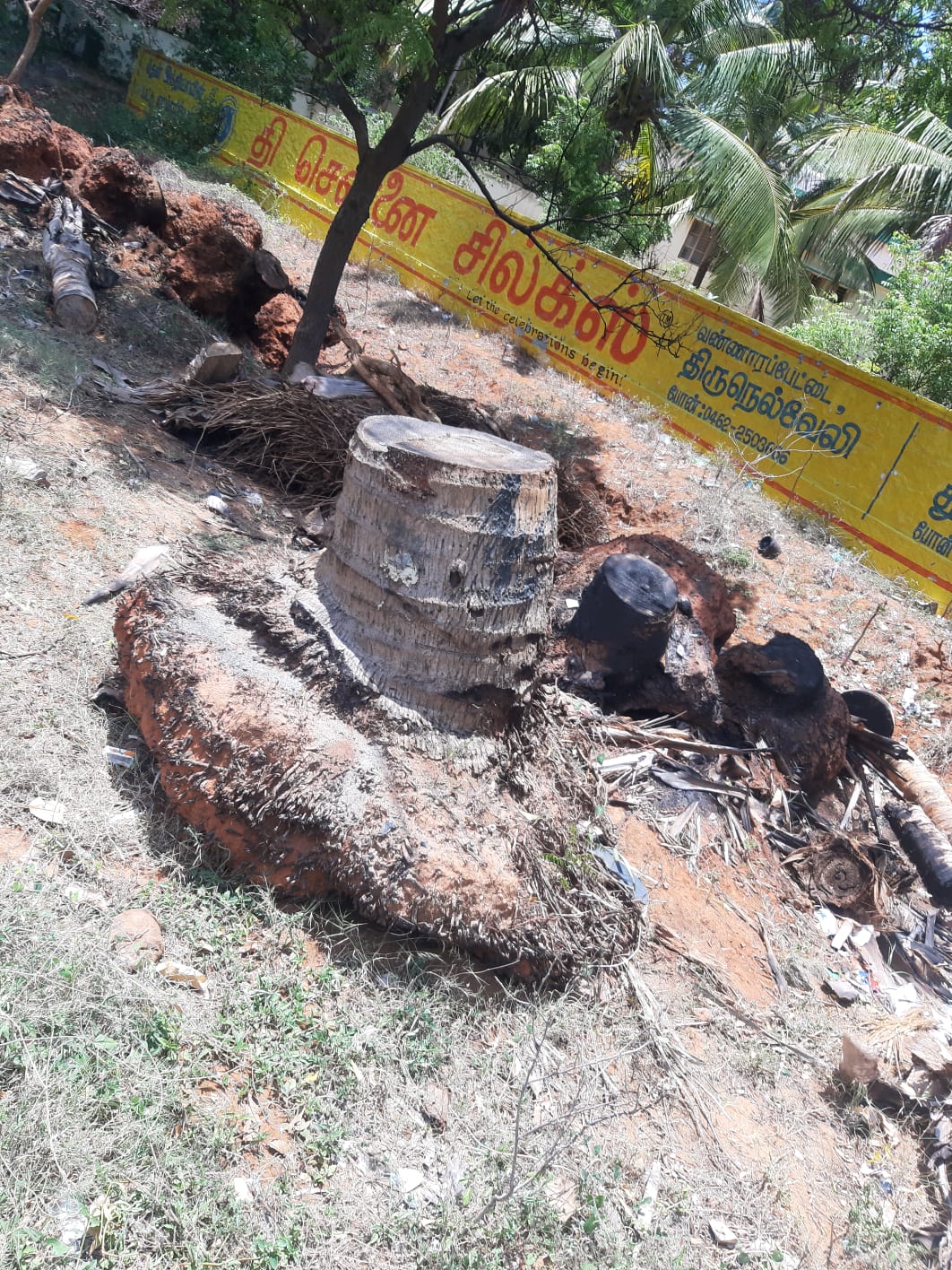 கழிவுகள் அகற்றப்படுமா?