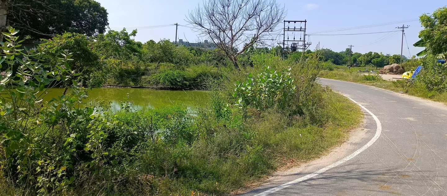 கோவில் குளத்தை சுத்தம் செய்ய வேண்டும் கோவில் குளத்தை சுத்தம் செய்ய வேண்டும்