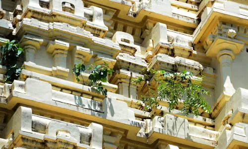 கோபுரத்தில் வளர்ந்த மரக்கன்றுகள்