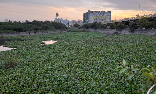 குளத்தை காணவில்லை