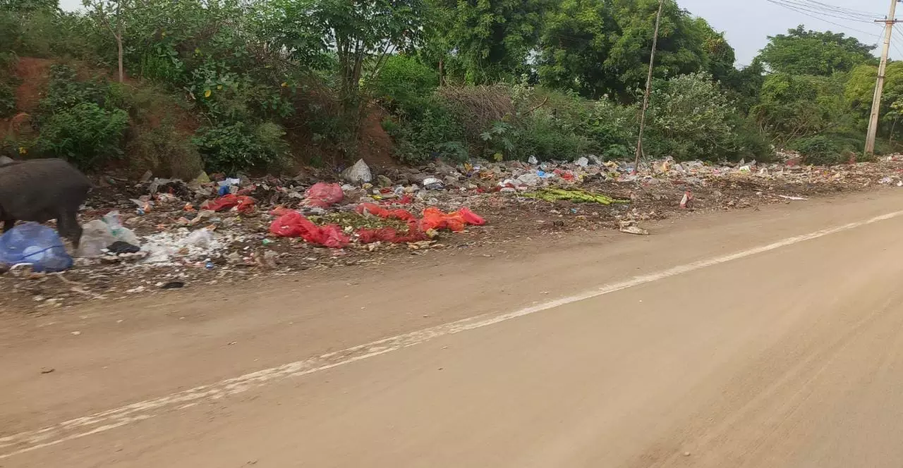 தேங்கும் மாமிச கழிவுகள் தேங்கும் மாமிச கழிவுகள்