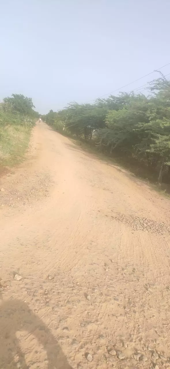 குண்டும், குழியுமான சாலை