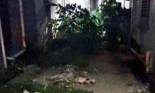 பொதுமக்கள் அவதி