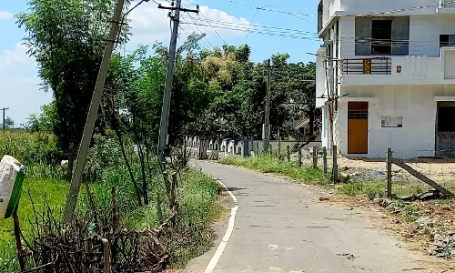 சாய்ந்த நிலையில் மின்கம்பங்கள் சாய்ந்த நிலையில் மின்கம்பங்கள்