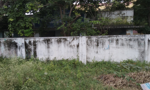 புதருக்குள் கால்நடை மருந்தகம் புதருக்குள் கால்நடை மருந்தகம்