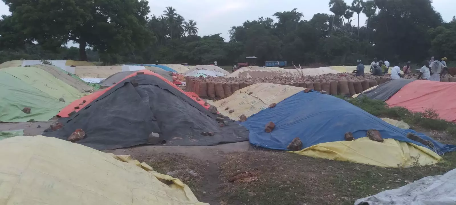 மோட்டார் சீரமைக்கப்படுமா?