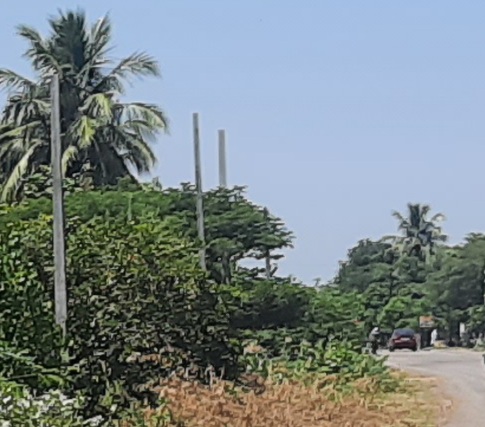 காட்சி பொருளாக நிற்கும் மின்கம்பங்கள் காட்சி பொருளாக நிற்கும் மின்கம்பங்கள்