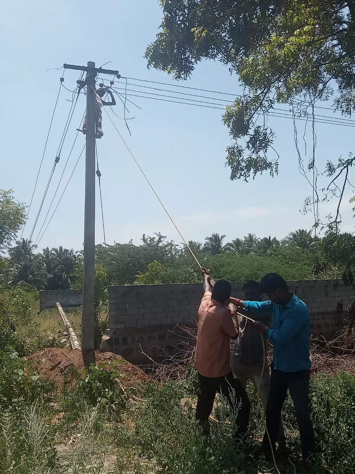 தினத்தந்தி புகார் பெட்டிக்கு நன்றி தினத்தந்தி புகார் பெட்டிக்கு நன்றி