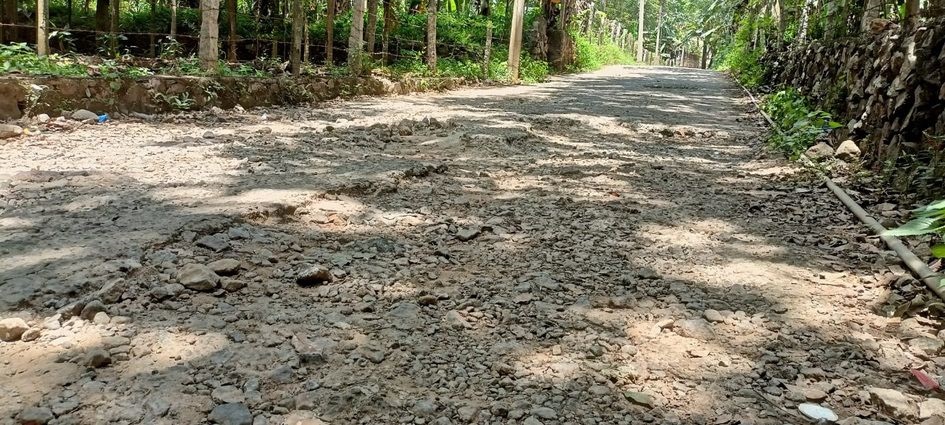 சாலையின் அவலநிலை