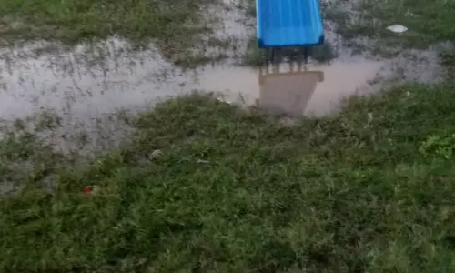 பராமரிப்பில்லாத பூங்கா பராமரிப்பில்லாத பூங்கா