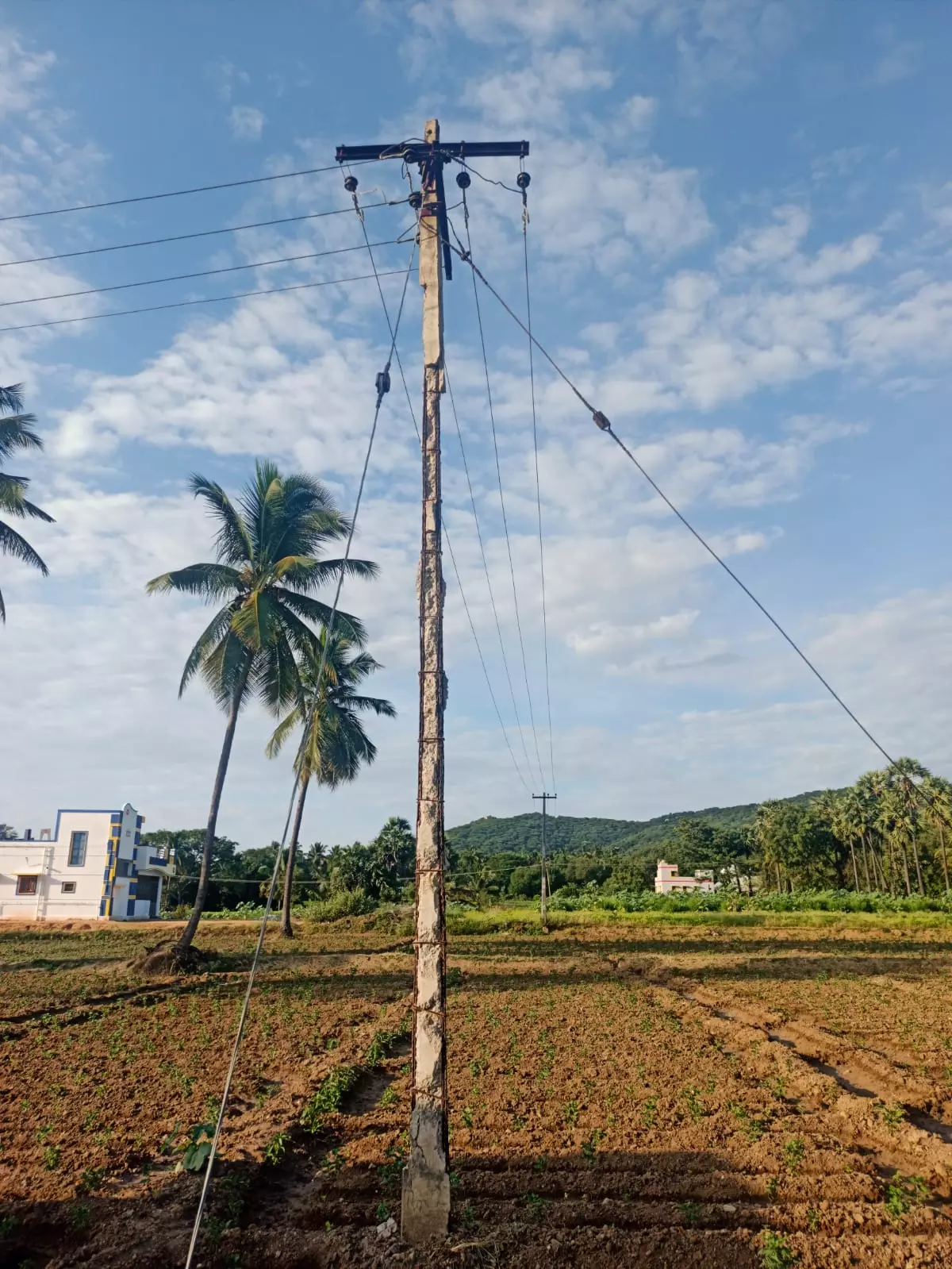 எலும்புக்கூடான மின்கம்பம்