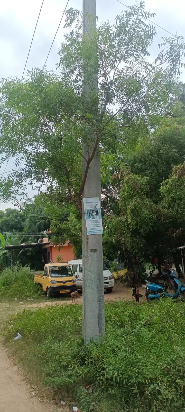 மின்கம்பமும் ஆபத்தும் மின்கம்பமும் ஆபத்தும்