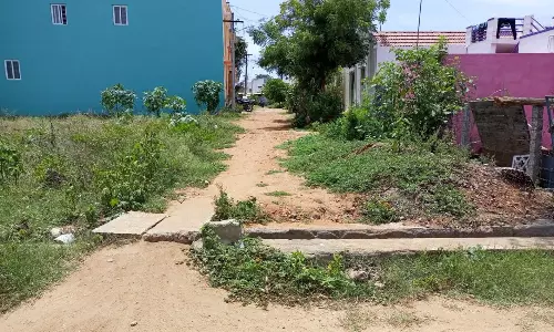 பாதை வசதி ஏற்படுத்தப்படுமா?