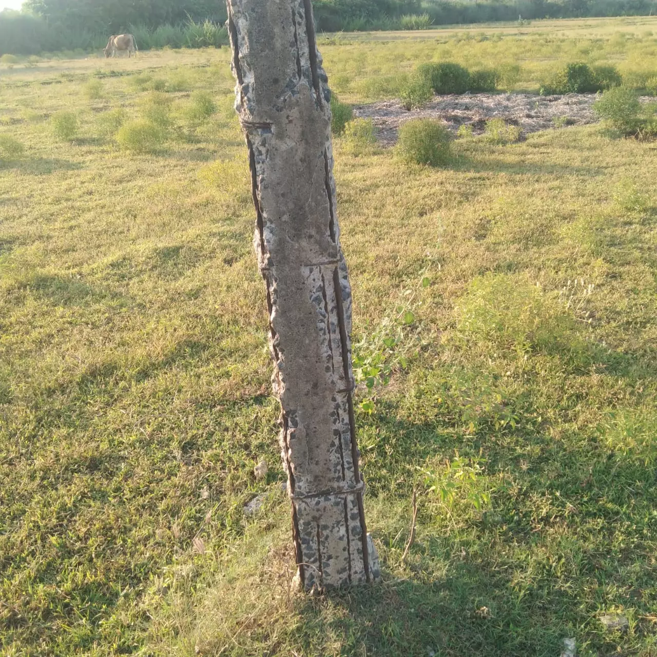 அபாயகரமான மின்கம்பம்