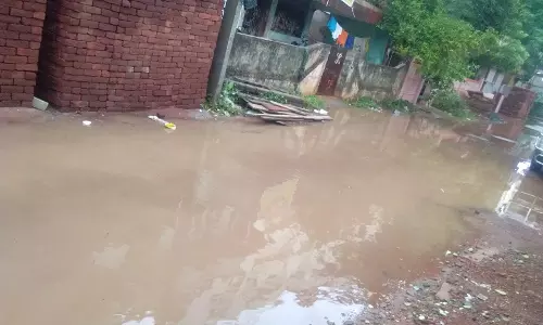 மழைநீர் வடிகால் வசதி வேண்டும் மழைநீர் வடிகால் வசதி வேண்டும்