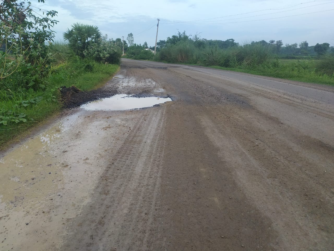 பல்லாங்குழி சாலையால் தடுமாறும் வாகன ஓட்டிகள்