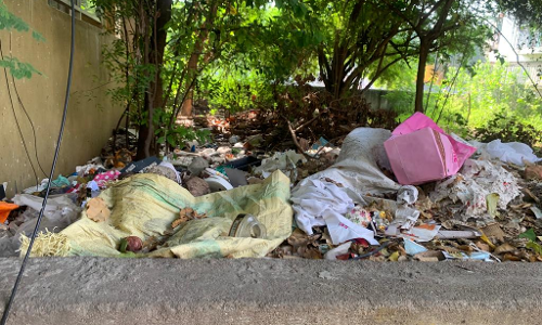 குப்பைகள அகற்றப்படுமா?