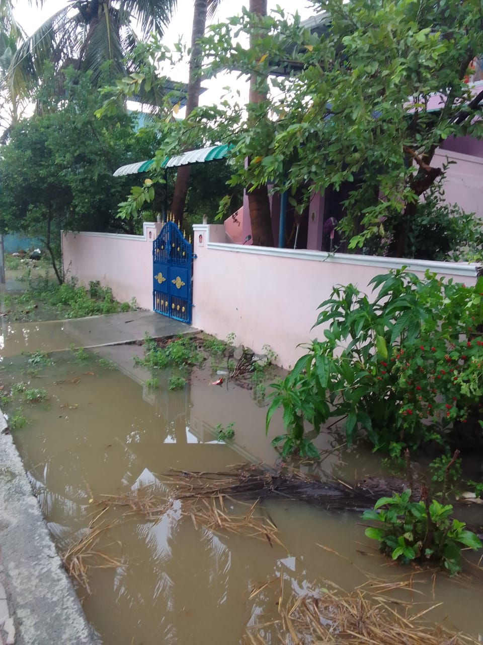 மழைநீர் வடிகால் வேண்டும் மழைநீர் வடிகால் வேண்டும்