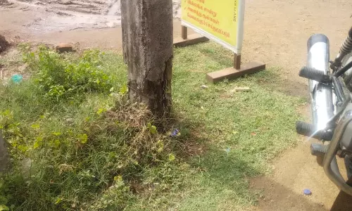 மின்கம்பம் சீரமைக்கப்படுமா? மின்கம்பம் சீரமைக்கப்படுமா?