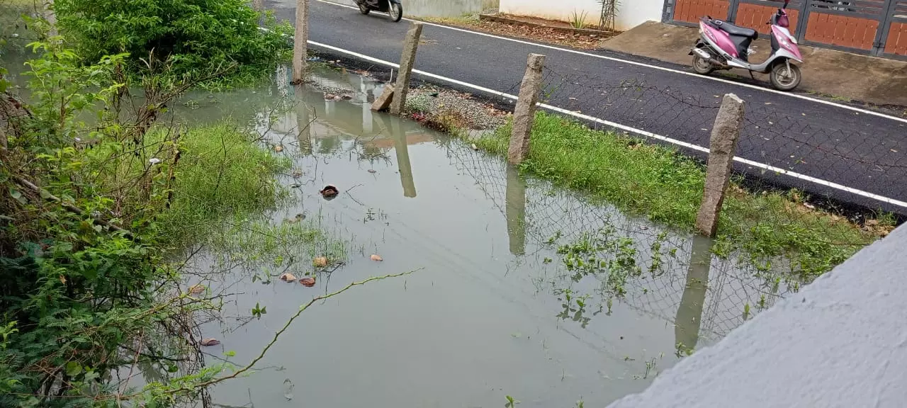 சுகாதார சீர்கேடு சுகாதார சீர்கேடு