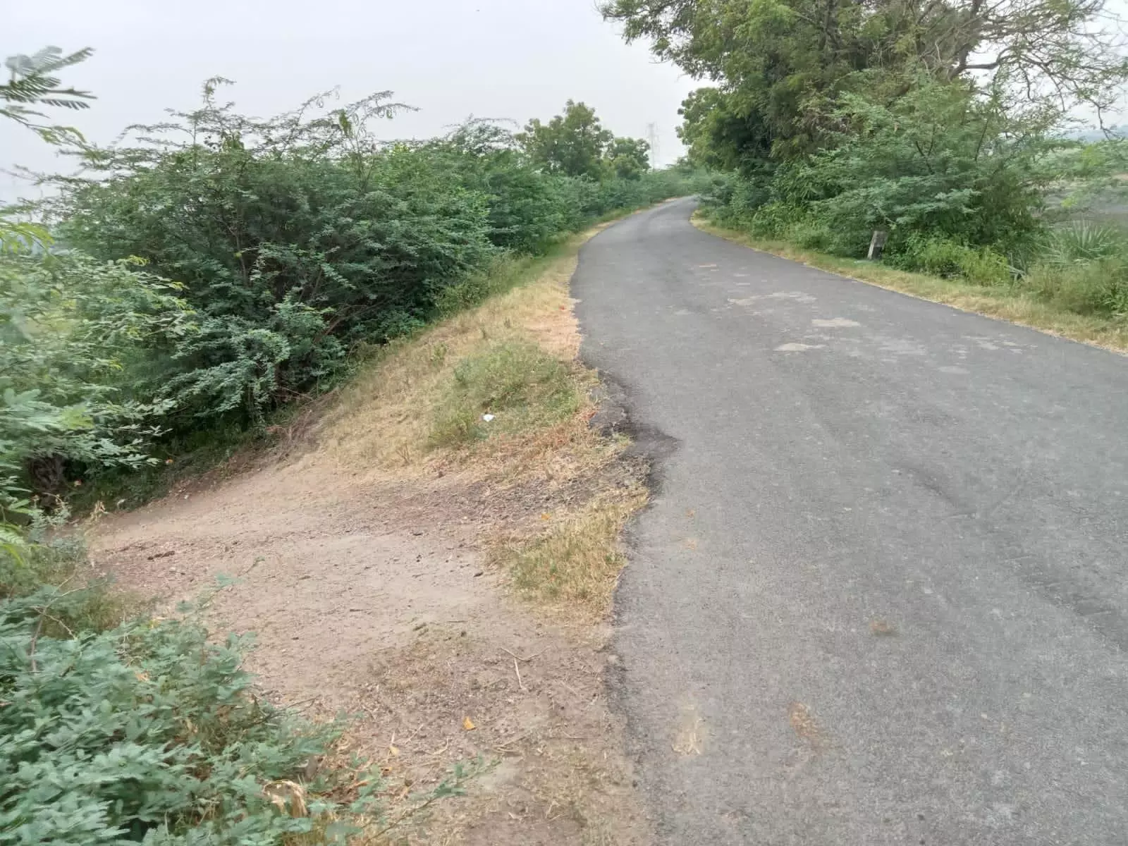 சாலையோரம் பள்ளம் சாலையோரம் பள்ளம்