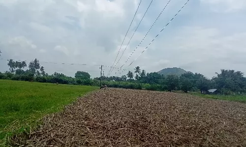 தாழ்வாக செல்லும் மின்கம்பிகள் தாழ்வாக செல்லும் மின்கம்பிகள்