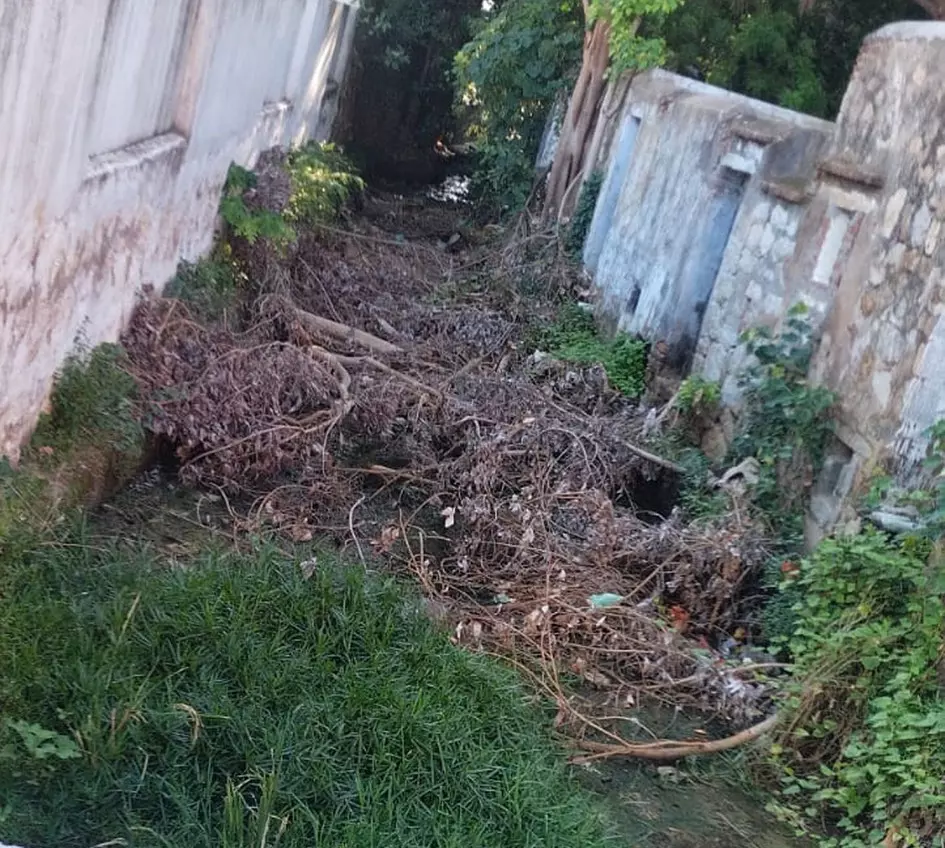 குளத்து மடை தூர்வாரப்படுமா? குளத்து மடை தூர்வாரப்படுமா?