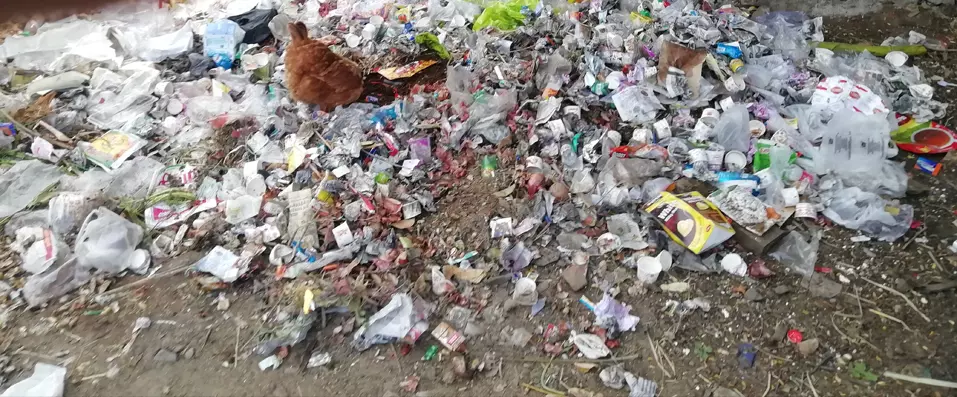 குவிந்துள்ள குப்பைகள் குவிந்துள்ள குப்பைகள்