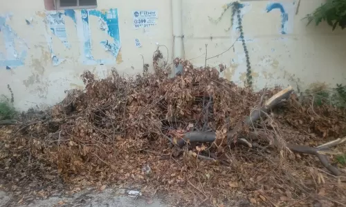 அகற்றப்படாத கழிவுகள் அகற்றப்படாத கழிவுகள்