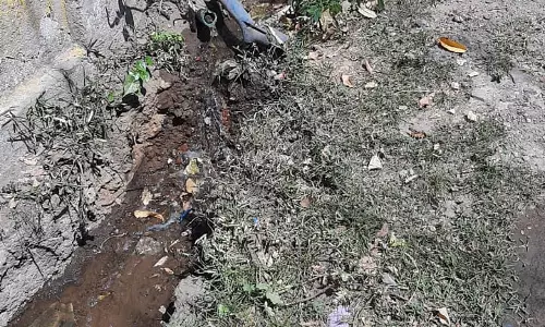 தூர்வாரப்படாத வடிகால்வாய் தூர்வாரப்படாத வடிகால்வாய்