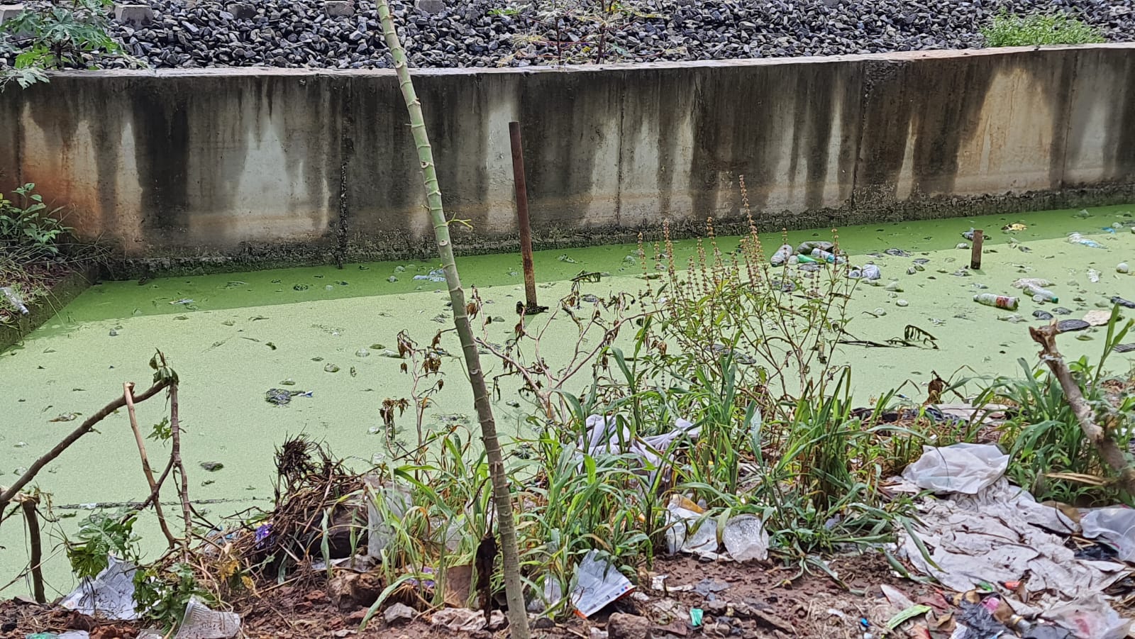 புத்துயிர் பெறுமா? புத்துயிர் பெறுமா?