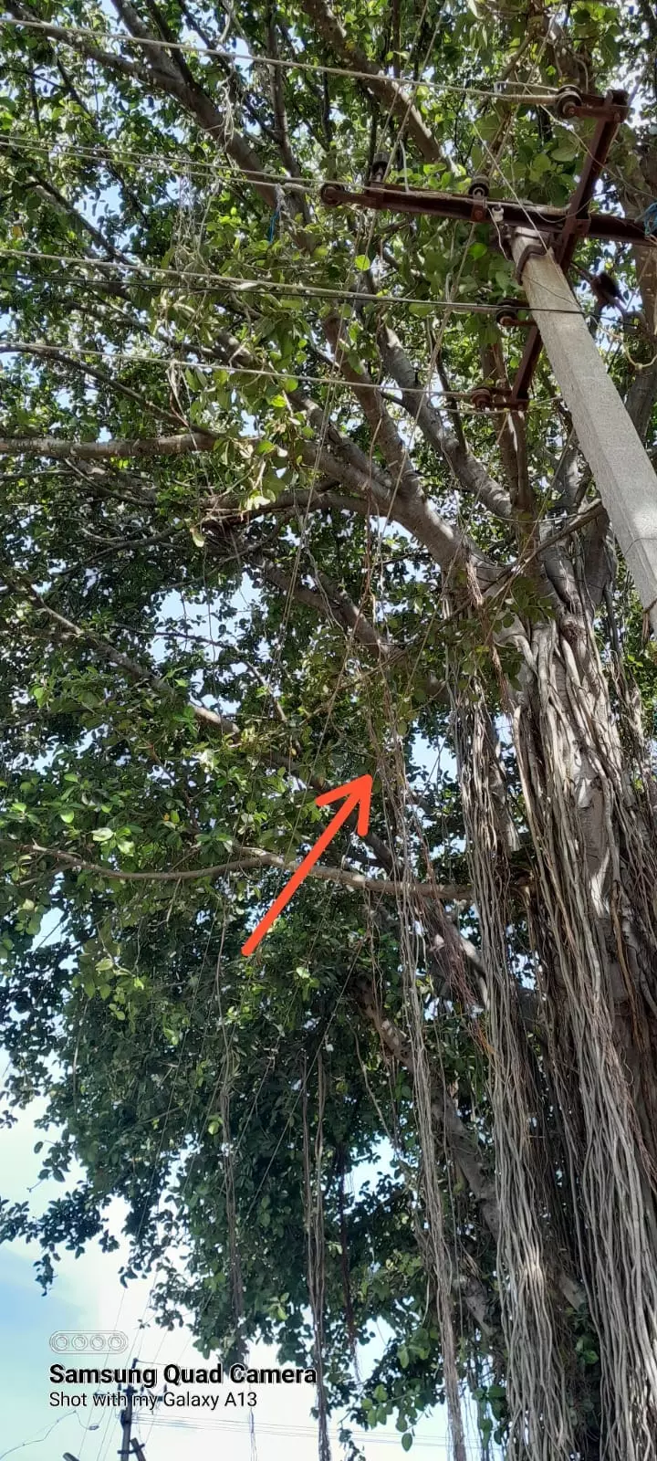 அகற்ற வேண்டிய மின்கம்பம்