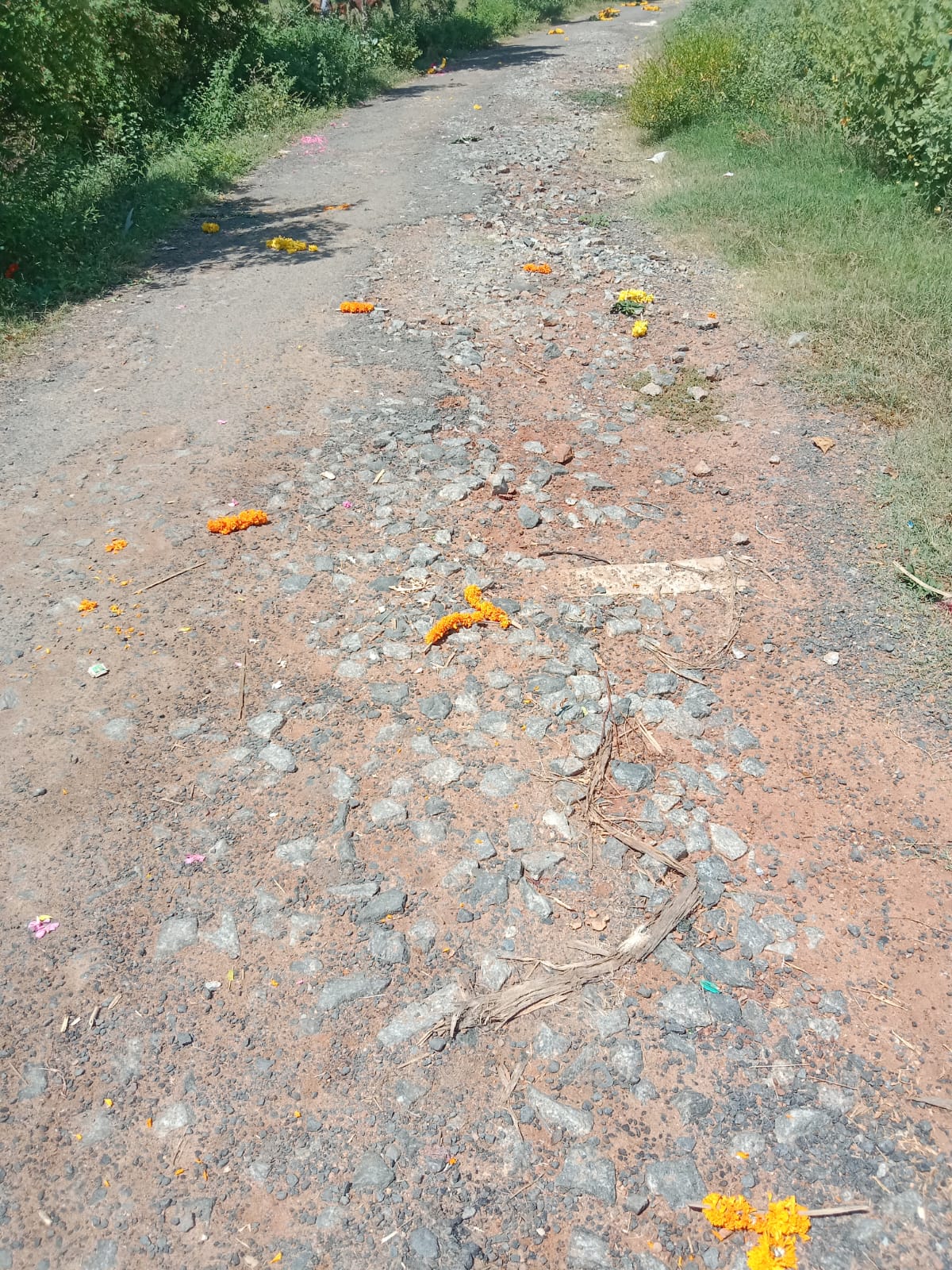 சாலை சீரமைக்கப்படுமா? சாலை சீரமைக்கப்படுமா?