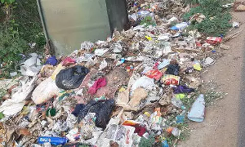 நடவடிக்கை தேவை