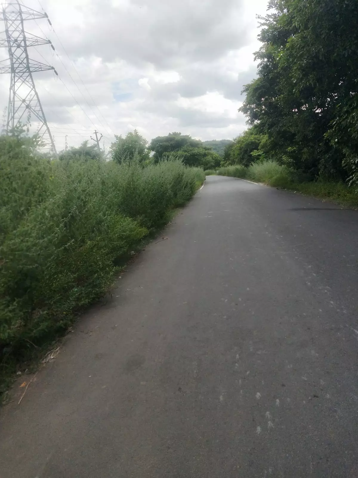 பாதை சீரமைக்கப்படுமா ?