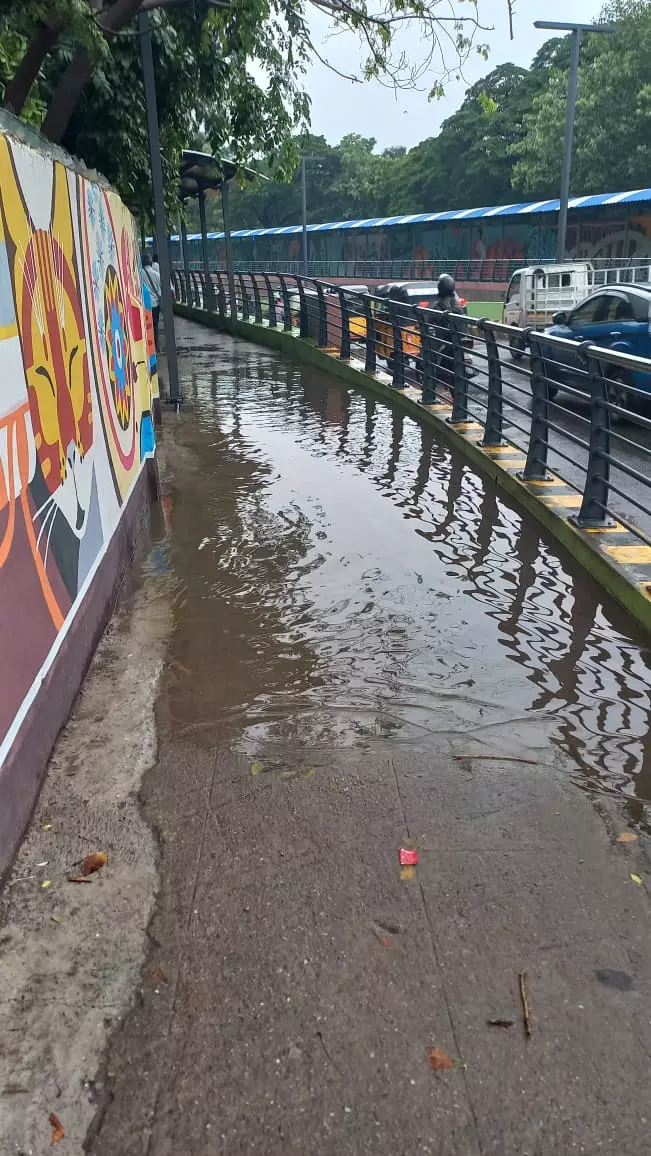 மழை நீர் செல்ல வழி இல்லை மழை நீர் செல்ல வழி இல்லை