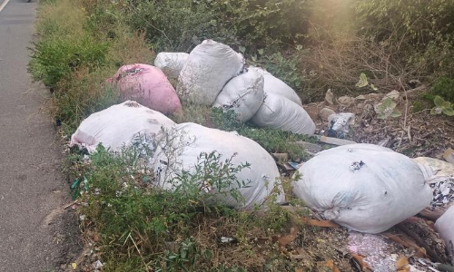 சாலையோரங்களில் வீசப்படும் கழிவுகள் சாலையோரங்களில் வீசப்படும் கழிவுகள்